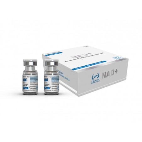 SIGNUM - NAD+