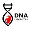 DNA
